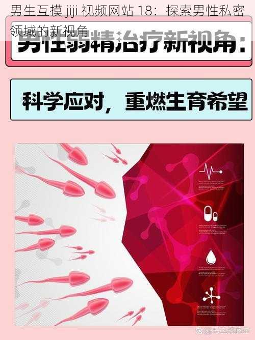 男生互摸 jiji 视频网站 18：探索男性私密领域的新视角