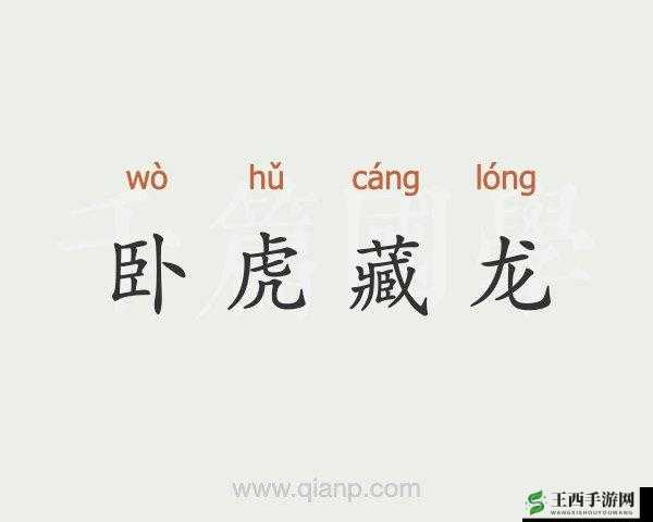 疯狂动物园藏龙卧虎，揭秘资源管理大师我大哥藏龙的艺术之道
