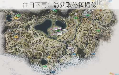 往日不再:箭获取秘籍揭秘
