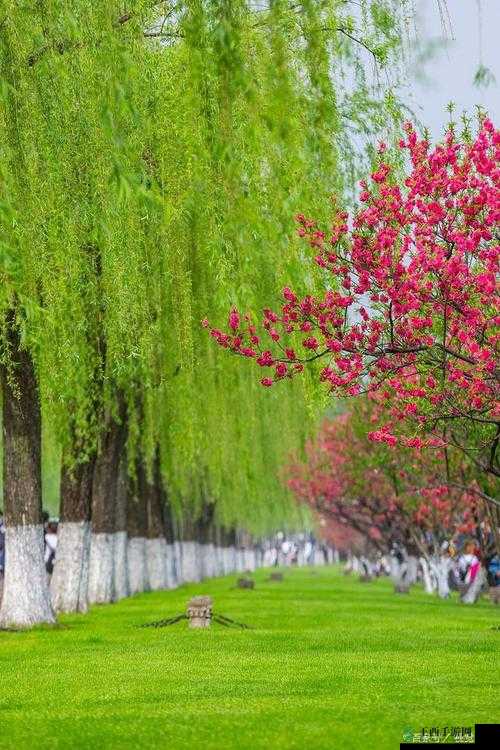 春天里最动人的风景：花红柳绿，万物复苏
