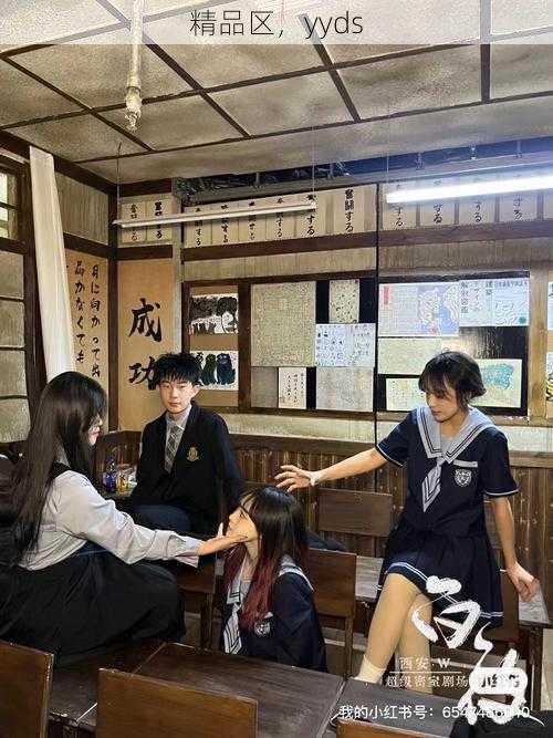精品区,yyds