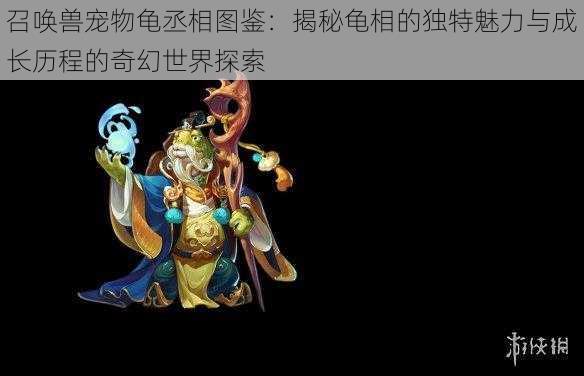 召唤兽宠物龟丞相图鉴:揭秘龟相的独特魅力与成长历程的奇幻世界探索