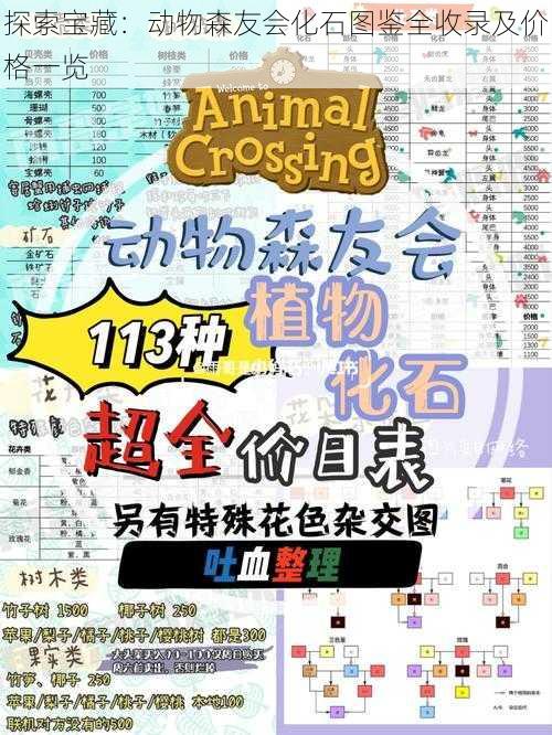 探索宝藏:动物森友会化石图鉴全收录及价格一览