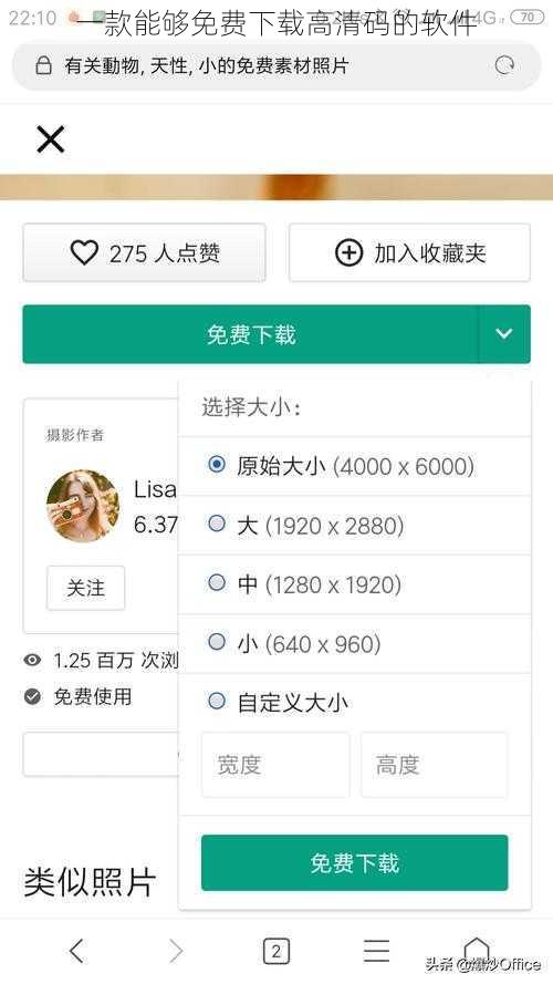 一款能够免费下载高清码的软件