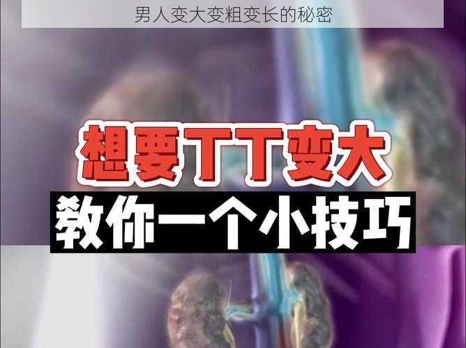 男人变大变粗变长的秘密