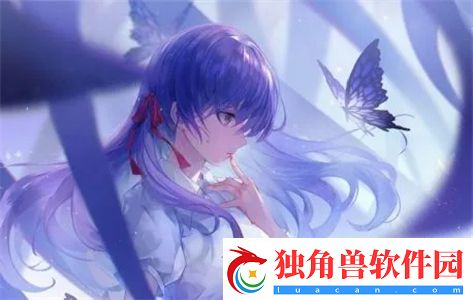 可以直接进入的网站的代码：如何快速搭建一个简单实用的个人网页