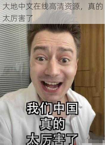 大地中文在线高清资源，真的太厉害了