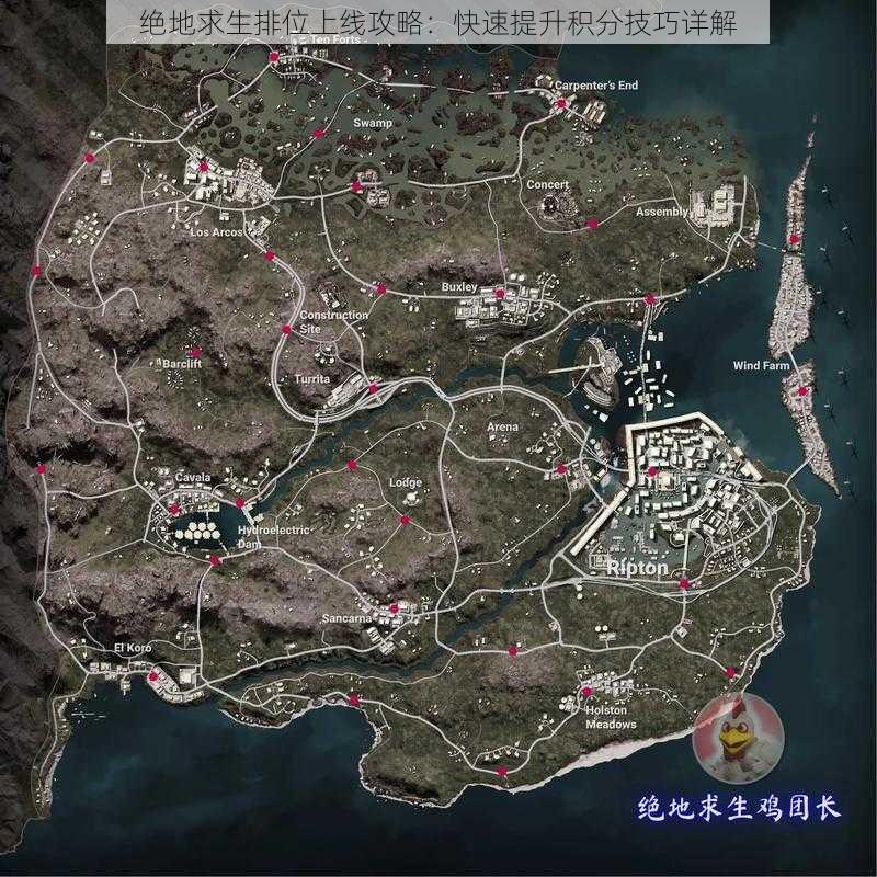 绝地求生排位上线攻略：快速提升积分技巧详解