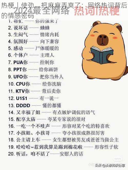热梗丨使劲灬把麻麻弄爽了:网络热词背后的情感密码