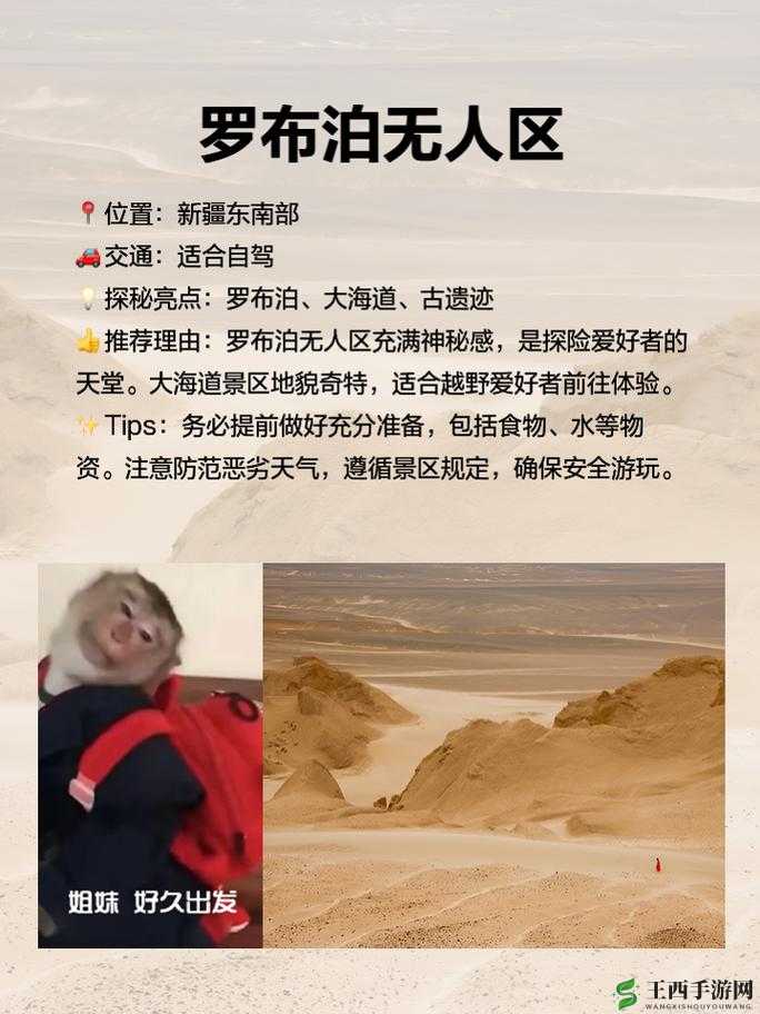 无人区卡一卡二卡乱码图：探索神秘之境