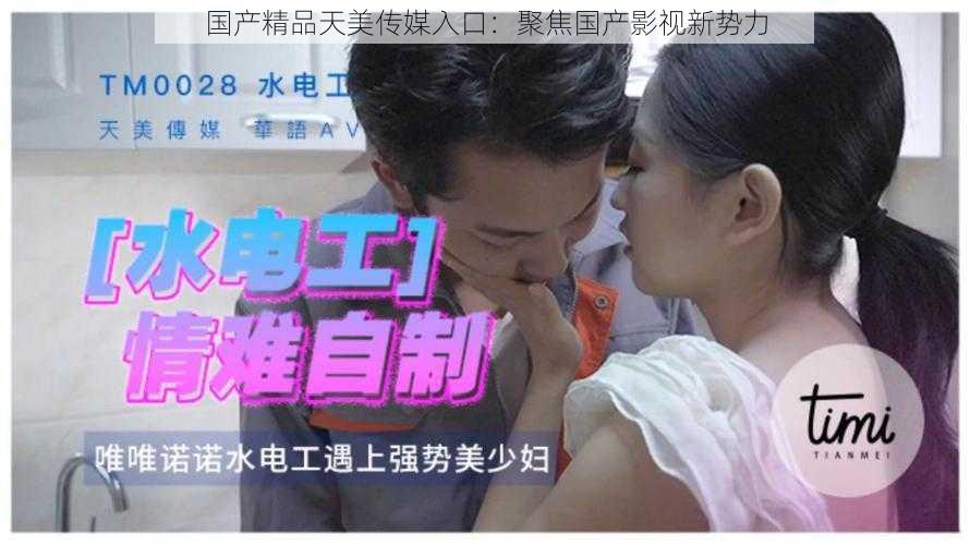 国产精品天美传媒入口:聚焦国产影视新势力