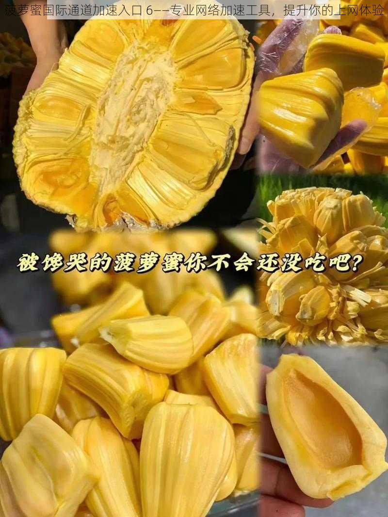 菠萝蜜国际通道加速入口 6——专业网络加速工具,提升你的上网体验