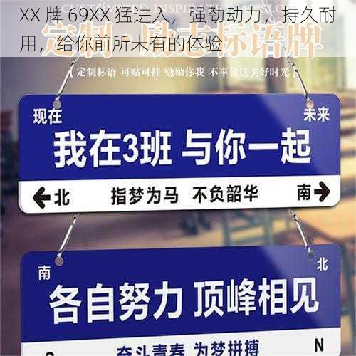 XX 牌 69XX 猛进入，强劲动力，持久耐用，给你前所未有的体验