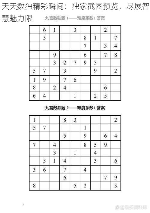 天天数独精彩瞬间:独家截图预览,尽展智慧魅力限