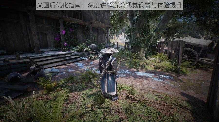 武侠乂画质优化指南：深度讲解游戏视觉设置与体验提升策略