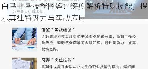 白马非马技能图鉴：深度解析特殊技能，揭示其独特魅力与实战应用