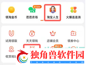 淘宝注册时间在哪看
