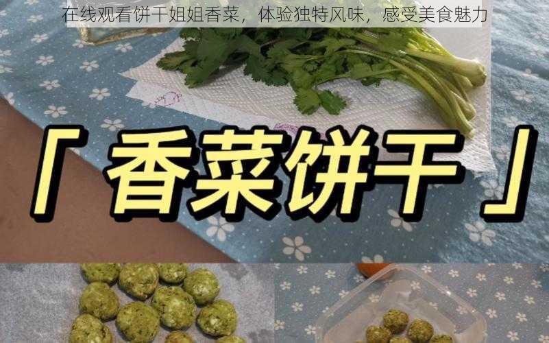 在线观看饼干姐姐香菜,体验独特风味,感受美食魅力
