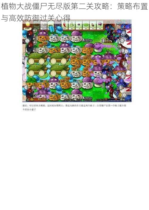 植物大战僵尸无尽版第二关攻略:策略布置与高效防御过关心得