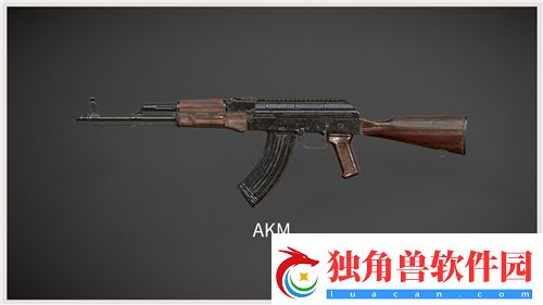 和平精英步枪伤害力排行2023
