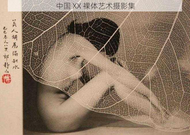 中国 XX 裸体艺术摄影集