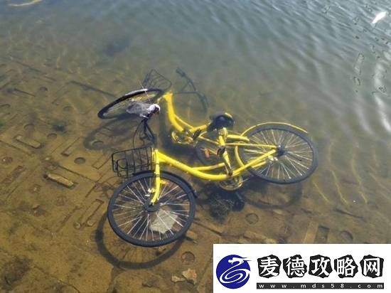 共享单车被丢河里每月可捞数百辆-捞一辆需要6个人