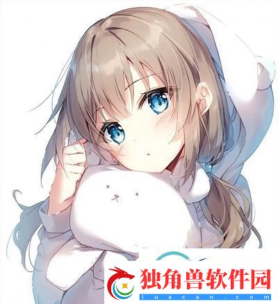 国外黄冈网站推广软件：提升市场竞争力的利器