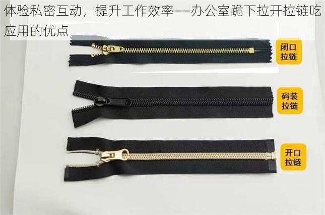 体验私密互动，提升工作效率——办公室跪下拉开拉链吃应用的优点