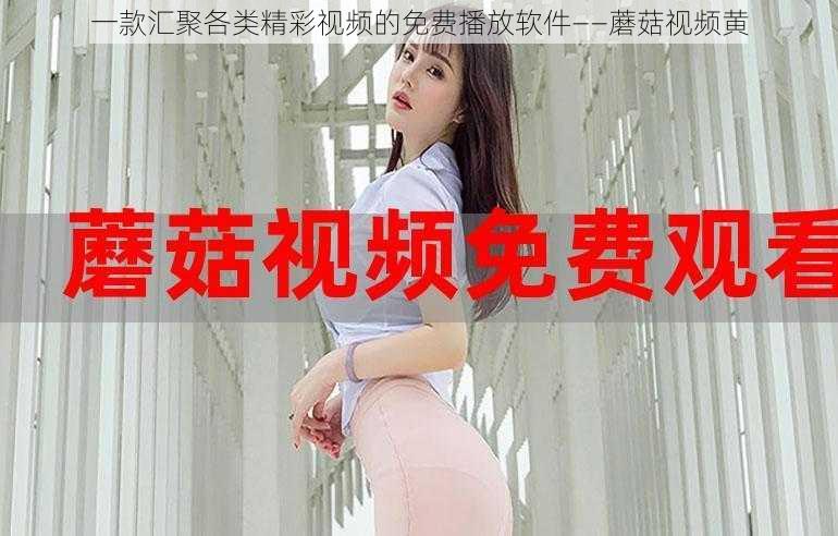 一款汇聚各类精彩视频的免费播放软件——蘑菇视频黄