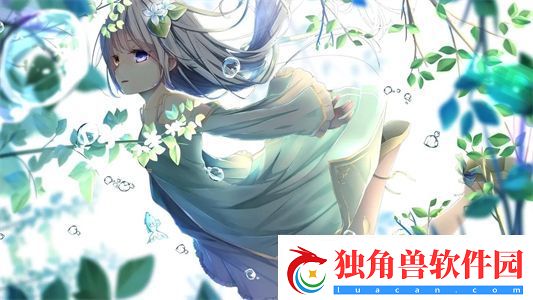 免费开放的API大全：助力开发者的数字工具箱与资源指南