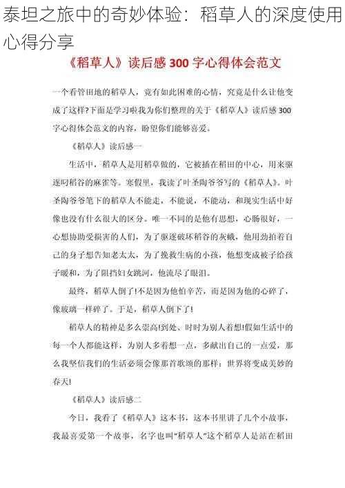 泰坦之旅中的奇妙体验：稻草人的深度使用心得分享