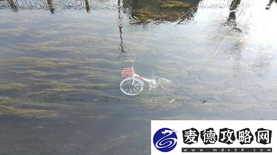共享单车被丢河里每月可捞数百辆
