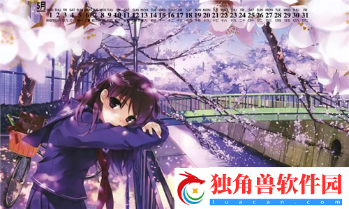 双龙入户的感受：一次文化与艺术的震撼体验