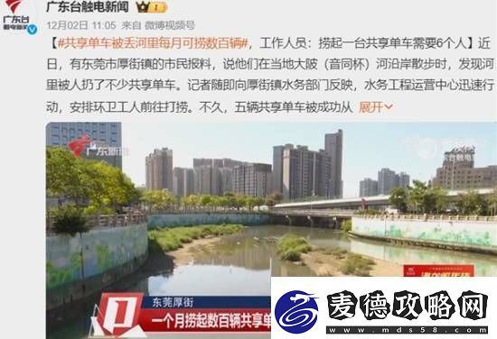 共享单车被丢河里每月可捞数百辆
