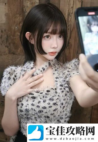 如何在巨大欧美市场中找到适合自己的BV软件？