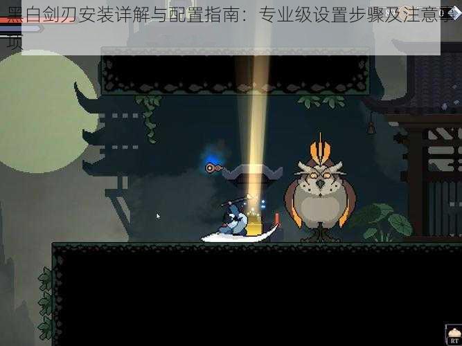 黑白剑刃安装详解与配置指南：专业级设置步骤及注意事项