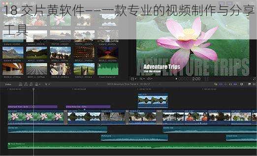 18 交片黄软件——一款专业的视频制作与分享工具