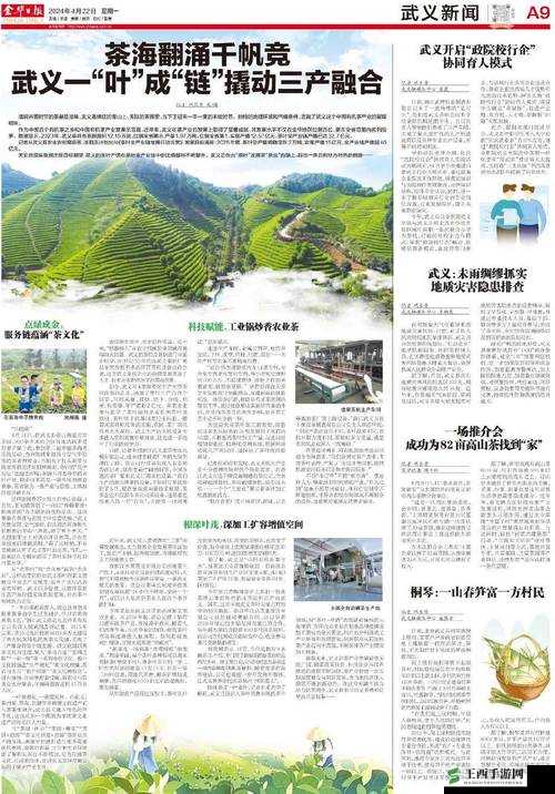 麻花豆精产三产区区别：特点与差异解析