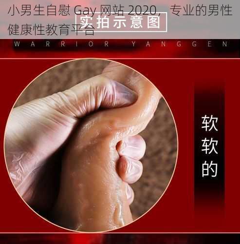 小男生自慰 Gay 网站 2020，专业的男性健康性教育平台