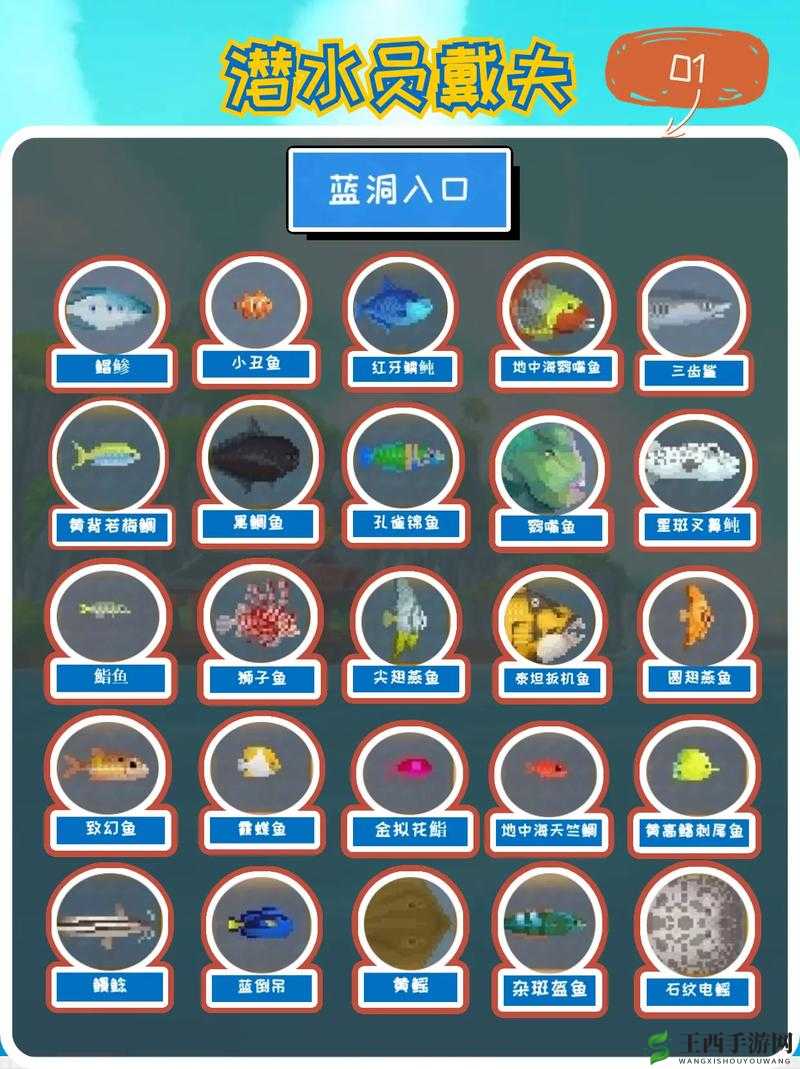 《潜水员戴夫》帮孩子们找球任务攻略:潜入海底,与海洋为伴的寻球之旅攻略指南