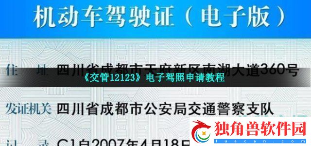电子驾照怎么申请-电子驾照申请教程