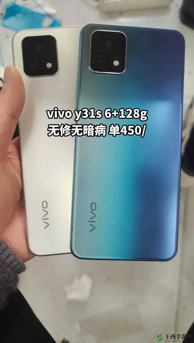 成色好的 Y31 与普通 Y31 区别在哪：深度解析