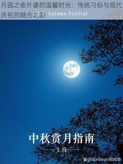 月圆之夜外婆的温馨时光：传统习俗与现代庆祝的融合之韵