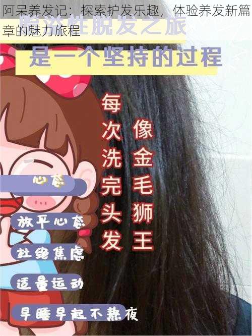 阿呆养发记:探索护发乐趣,体验养发新篇章的魅力旅程