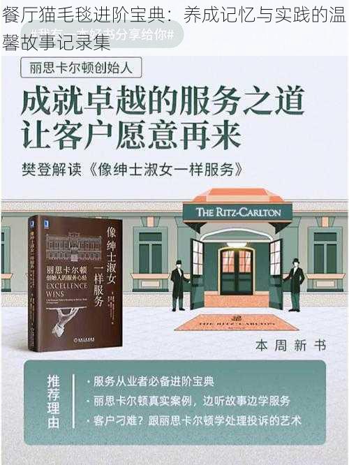餐厅猫毛毯进阶宝典:养成记忆与实践的温馨故事记录集