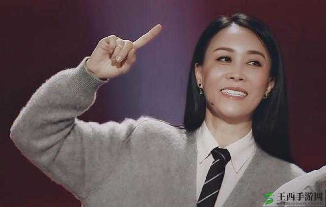 那英 BB 是什么样子的:令人好奇的探究