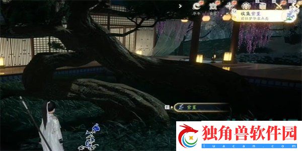 射雕手游紫堇怎么收集