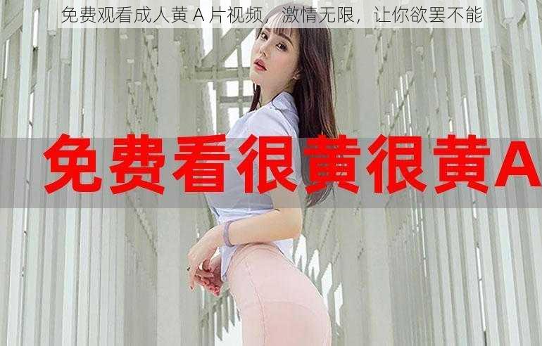 免费观看成人黄 A 片视频，激情无限，让你欲罢不能