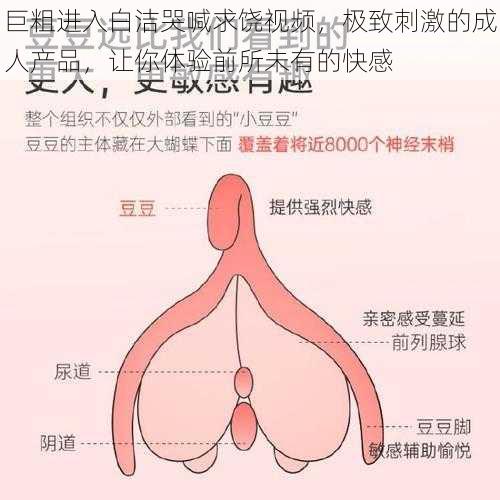 巨粗进入白洁哭喊求饶视频，极致刺激的成人产品，让你体验前所未有的快感