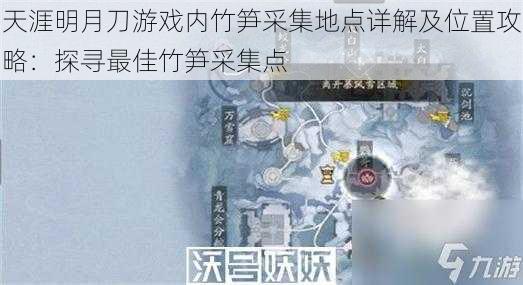 天涯明月刀游戏内竹笋采集地点详解及位置攻略:探寻最佳竹笋采集点